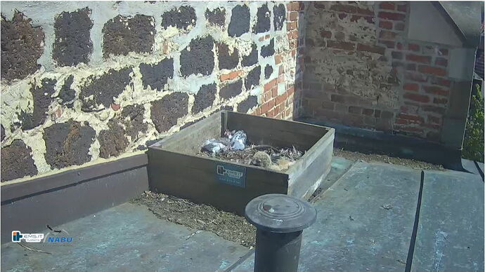 Snap_2023.05.08_12h35m45s_008_