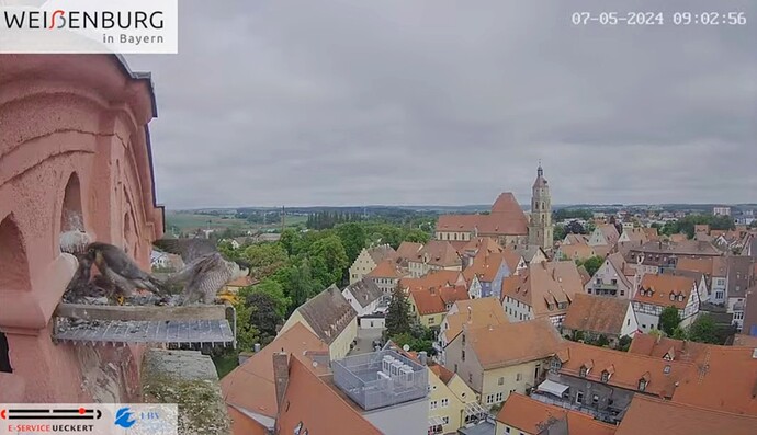 Screenshot_2024-05-07-10-38-02-673_com.google.android.youtube