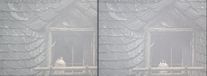 Snap_2024.03.12_13h43m23s_012_