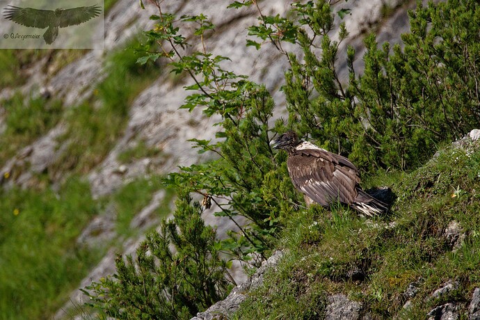 IMG_4716_DxO