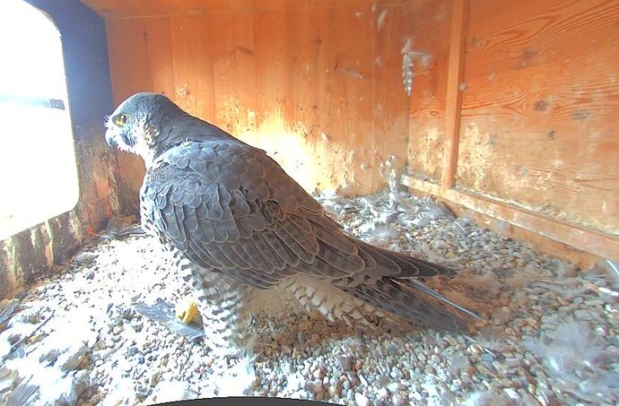 Screenshot_20251016-093434_Firefox~2