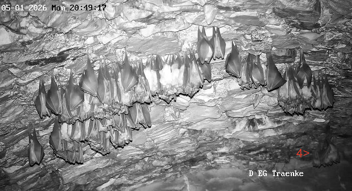 2026-01-05_9 Vierergruppe