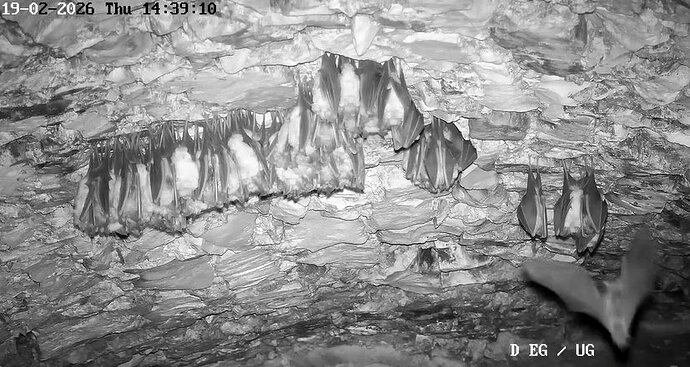 2026-02-19_1 ab 14.00 Wimpi 2