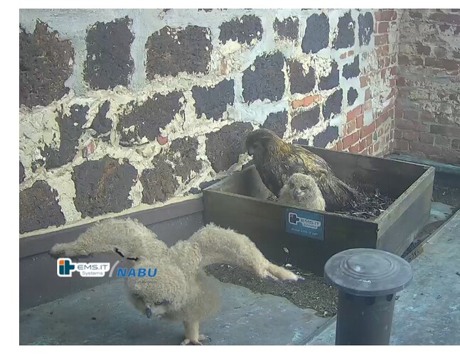 Screenshot_20230510_093217_Samsung Internet