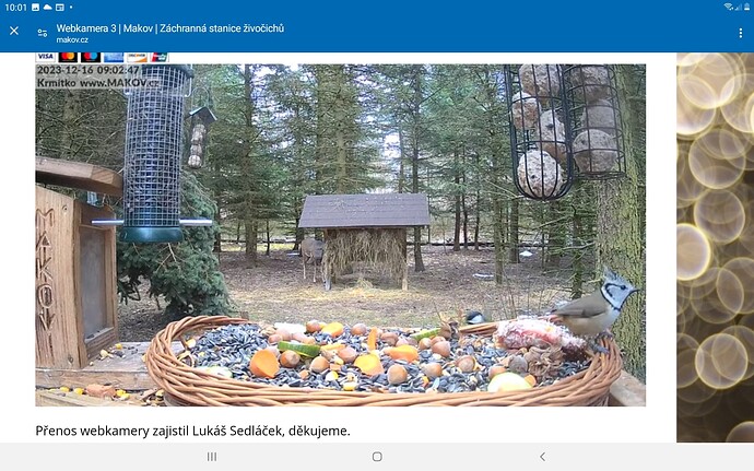 Screenshot_20231216-100124_Chrome