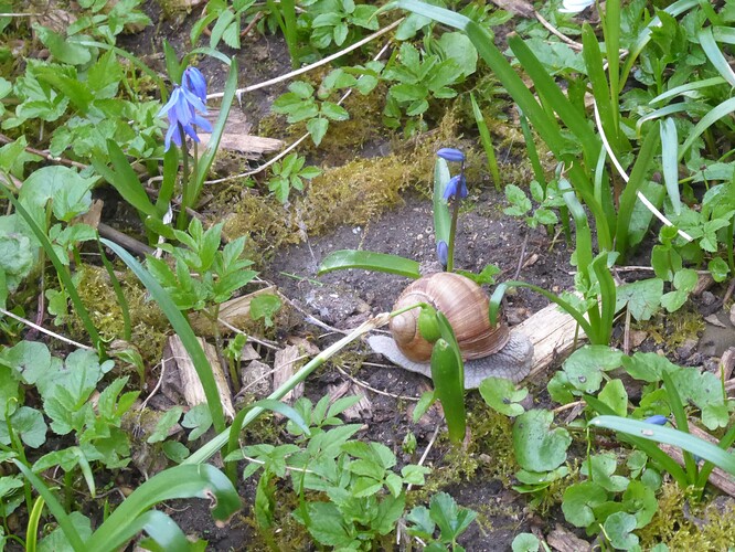 P1110494