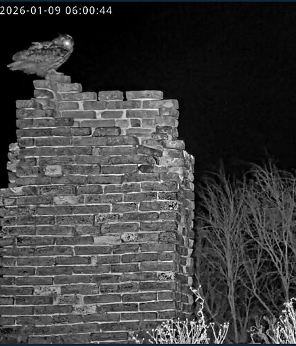 Screenshot_20260109_060117_Samsung Internet