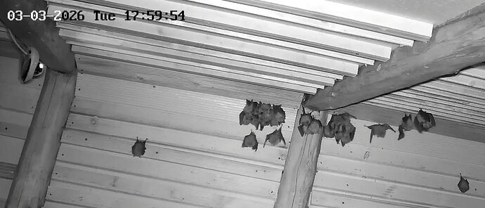 2026-03-03_1 ab 17.00 WG Cluster 2