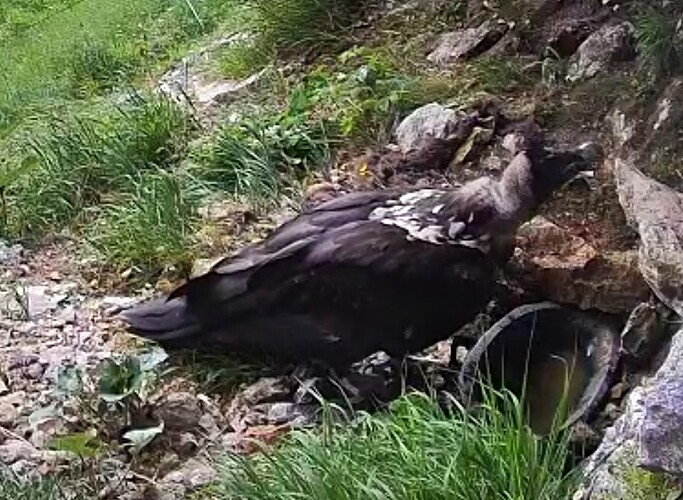 Screenshot_2025-06-20-09-48-22-965_com.android.chrome