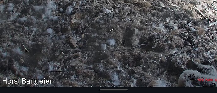 Screenshot_20240412-175826