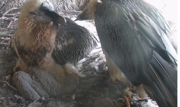 Friedlich vereint 1 29.03.24