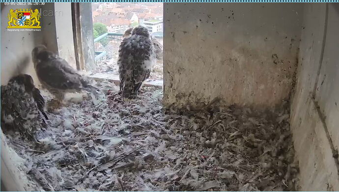 Snap_2023.05.09_06h20m57s_004_