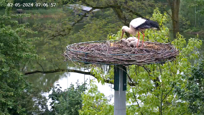 frühstück