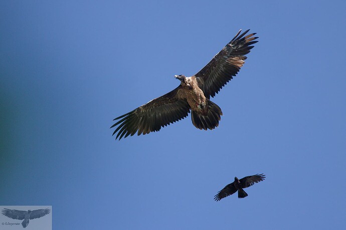 IMG_5970_DxO_DxO