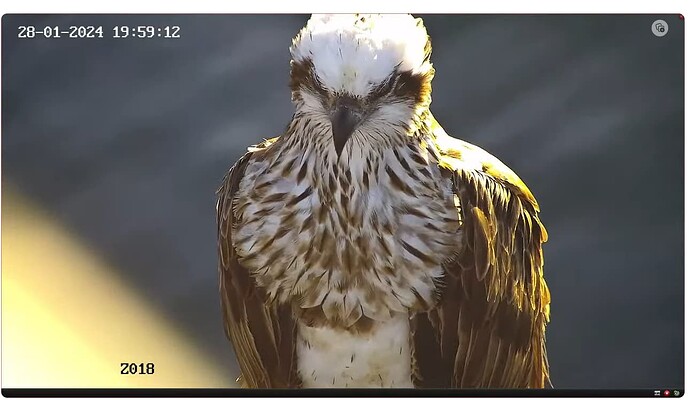 Screenshot 2024-01-28 115045