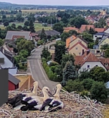 Screenshot_2025-07-03-13-15-35-261_com.android.chrome