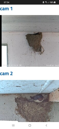 Screenshot_20250429-075409_Chrome