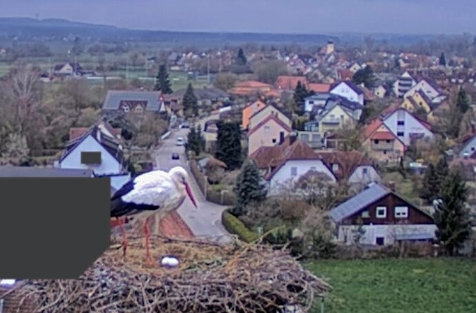 Screenshot_2026-03-26-06-05-07-437_com.android.chrome~2