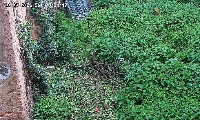 Screenshot_20260516_113734_YouTube
