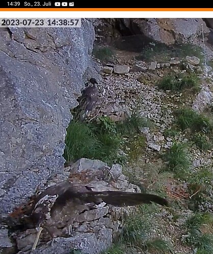 Screenshot_20230723-143920_Chrome