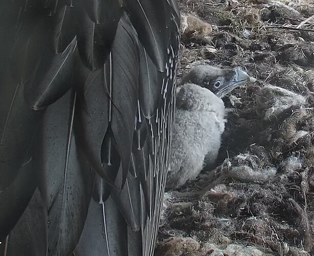 Zum Glück nicht lange allein 21.03.24