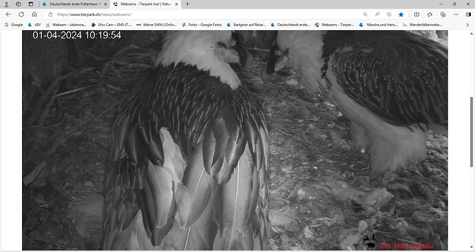 Zusammenhalt 01.04.24