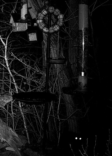 Screenshot_20221222_203450_Samsung Internet