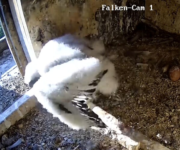 Screenshot_20230515-072449-02