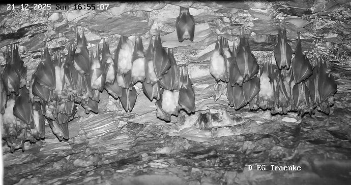 2025-12-21 ab 16.00 keine Aktivitäten