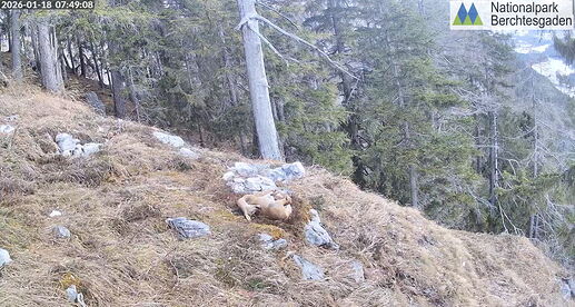 Snap_2026.01.18_07h50m02s_002_