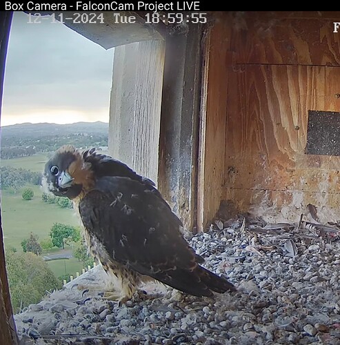 Bild 12.11.24 um 09.02