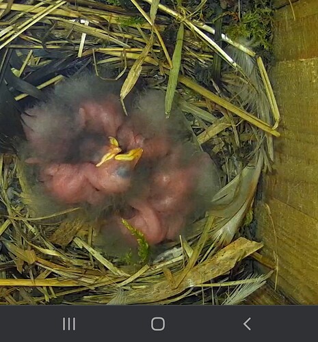 Screenshot_20240527-090543_Chrome