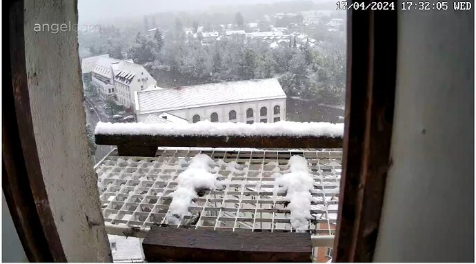 Screenshot_20240417_173227_Chrome