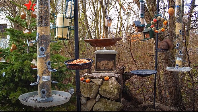 Snap_2022.12.28_09h35m10s_003_