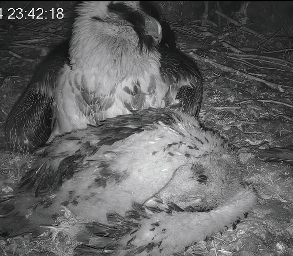 Screenshot_2024-04-22-23-43-24-858_com.android.chrome