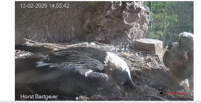 Screenshot_20260213-145646~2