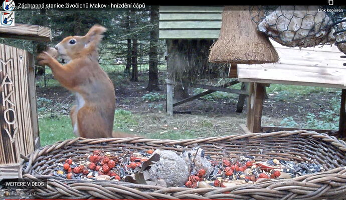 Snap_2022.11.09_11h52m32s_002_