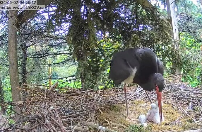 Screenshot_2024-05-07-06-34-39-251_com.google.android.youtube