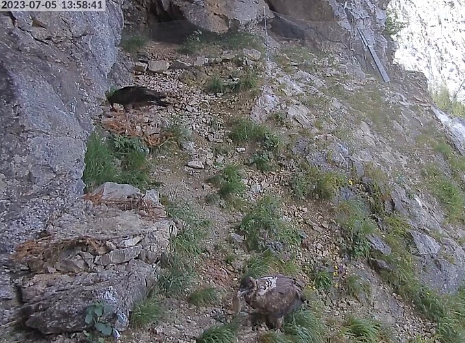 Bild 05.07.23 um 13.59