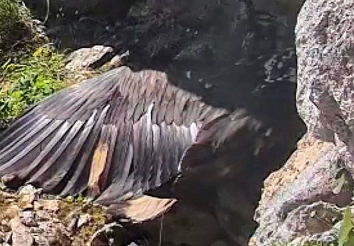 Screenshot_2025-06-25-07-41-59-910_com.android.chrome