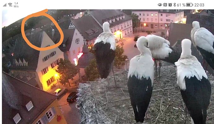 Screenshot_20230703_220607