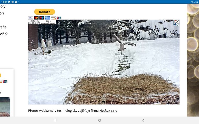 Screenshot_20231203-130657_Chrome