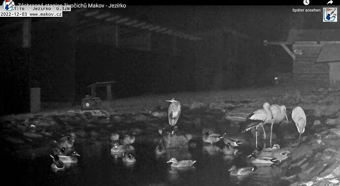 Snap_2022.12.03_18h31m55s_007_