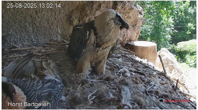 Screenshot_20250825-130320~2