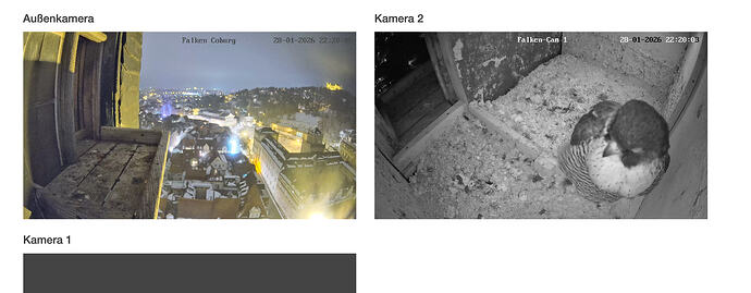 Bildschirmfoto 2026-01-28 um 22.20.04