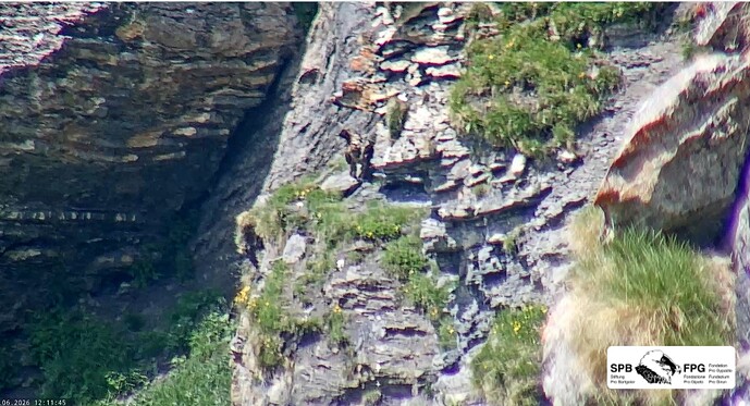 W im Felsen 20.06.26