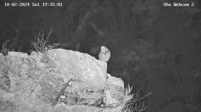 Uhu18