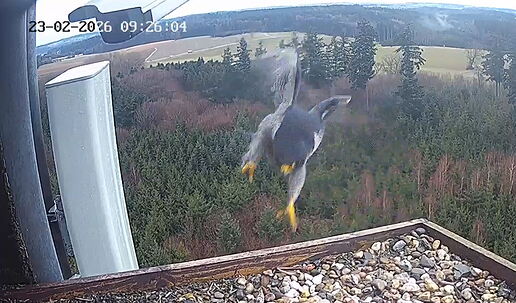 Snap_2026.02.23_09h28m27s_008_