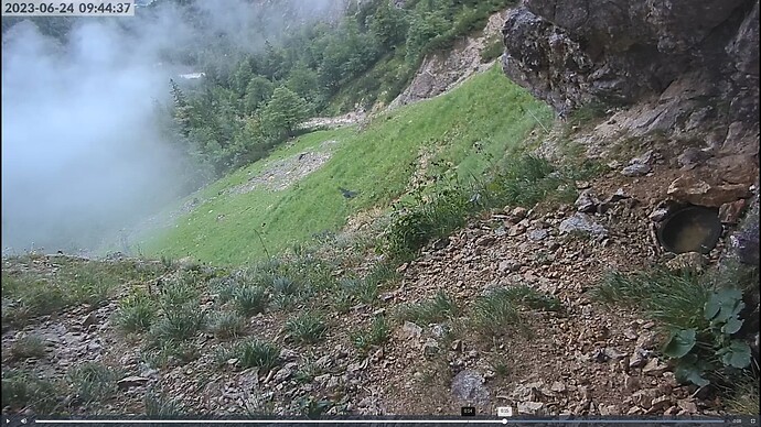 Bildschirmfoto vom 2023-06-24 10-01-07