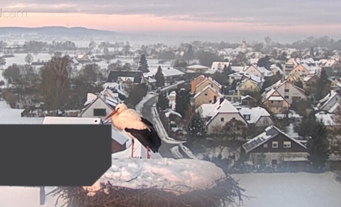 Screenshot_2026-01-27-08-01-35-163_com.android.chrome